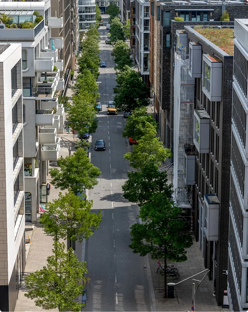 Tree-lined street with modern apartment buildings along Sarjapur Road